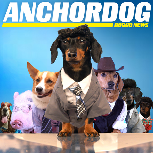 Anchordog Episode DoggoNews