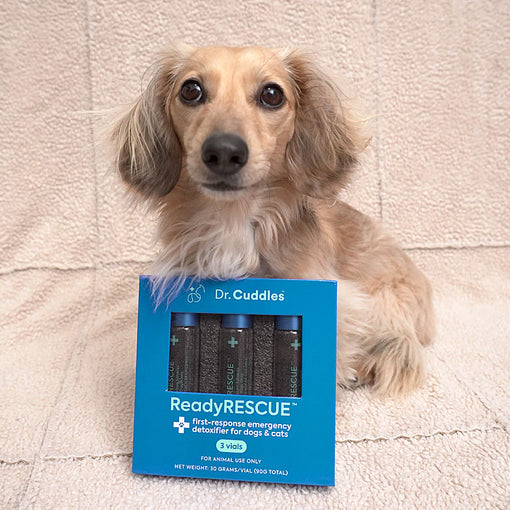 Every dog owner needs to have this..!