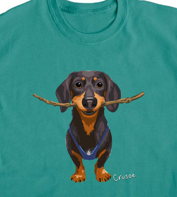 Crusoe's Happy Stick