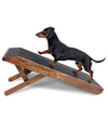 best dog ramp for dachshunds