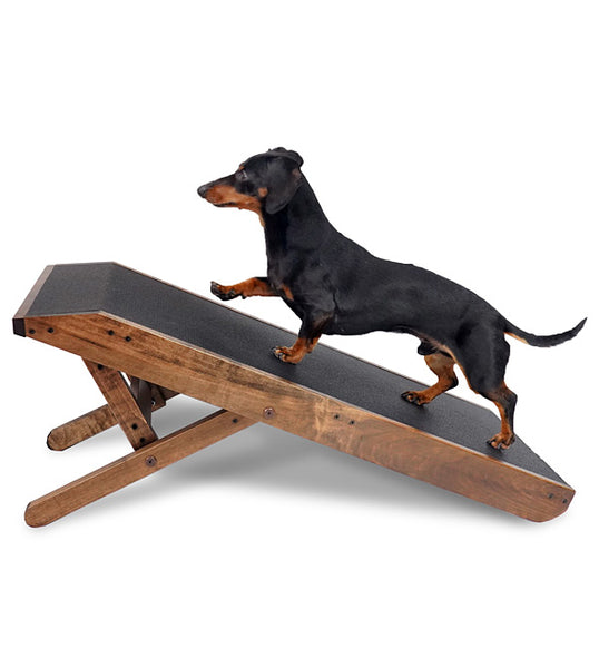 best dog ramp for dachshunds