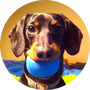 Crusoe