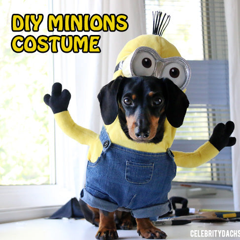 DIY-Minions-Dog-Costume