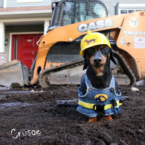 Crusoe Construction Worker