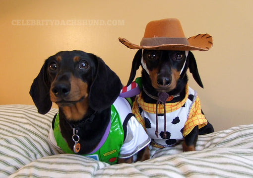 Buzz & Woody Dog Costumes