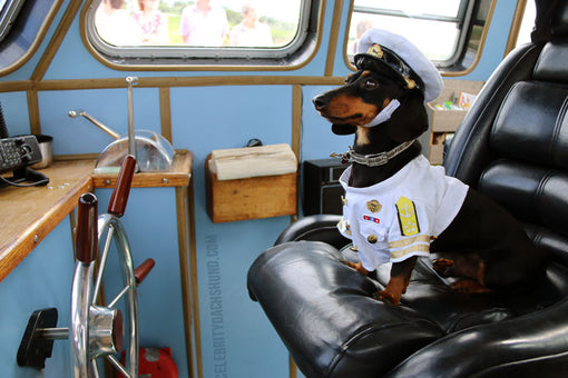 Captain Crusoe