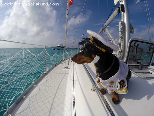 Captain Crusoe