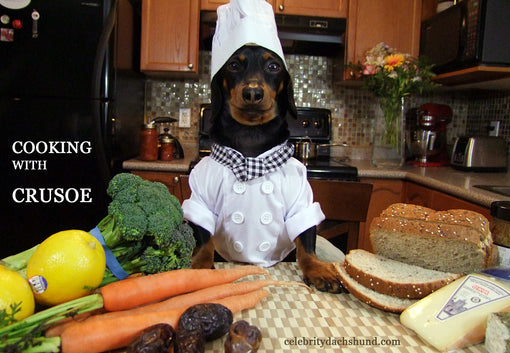 Dachshund Chef Costume