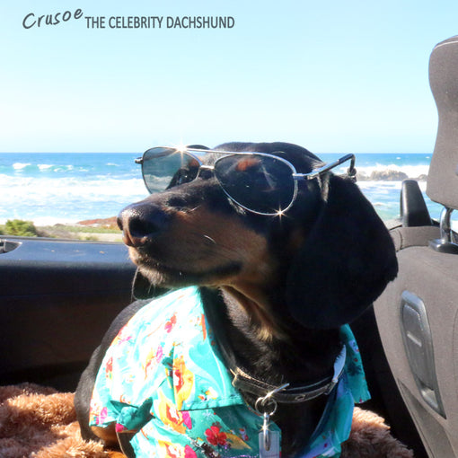 Crusoe Cruising California