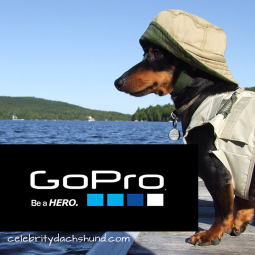 Crusoe GoPro