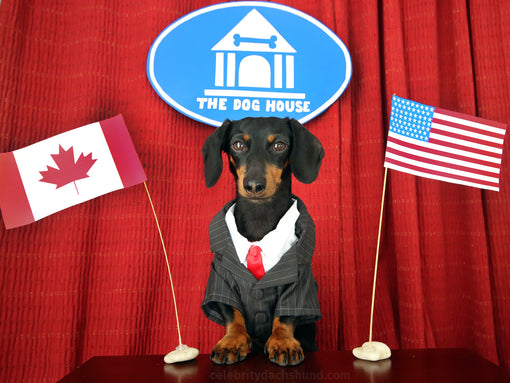 Crusoe Running for President