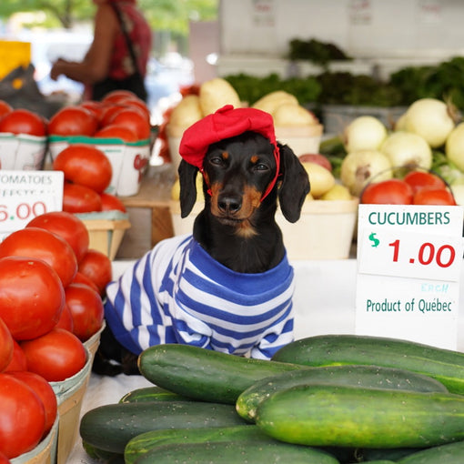 crusoe the chef french cooking video