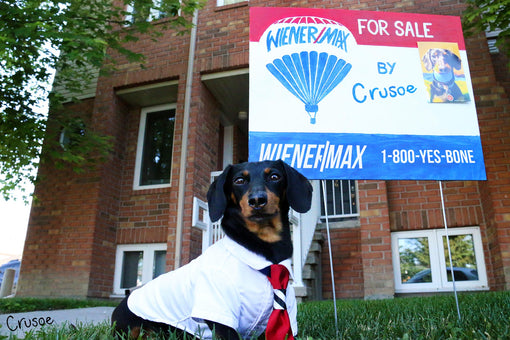 crusoe the realtor