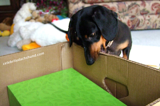 It's Almost Moving Time !