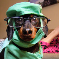 Doctor Crusoe