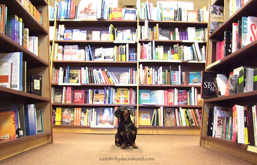 Dachshund Book Store