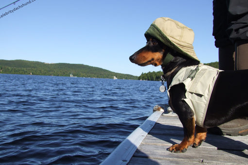 Cute Dachshund Small Wiener Dog Fishing Costume Outfit