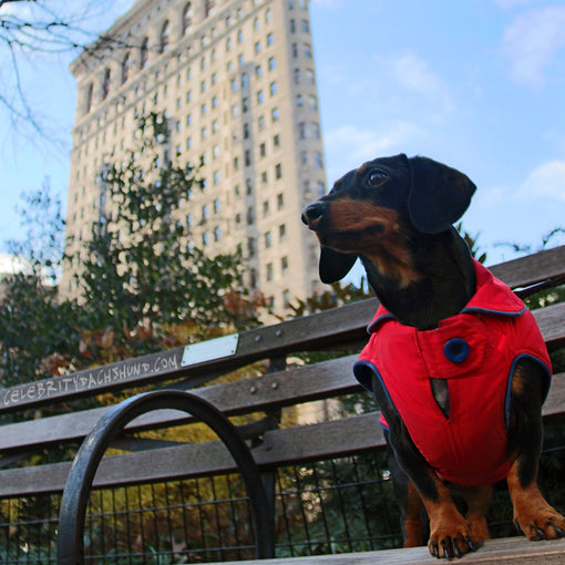 Crusoe in New York!