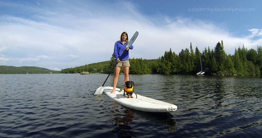 Paddle Boarding with a Dachshund