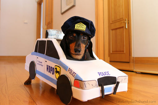 Police Car Dachshund Costume