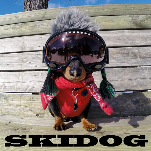 SKIDOG - the dog who skiis