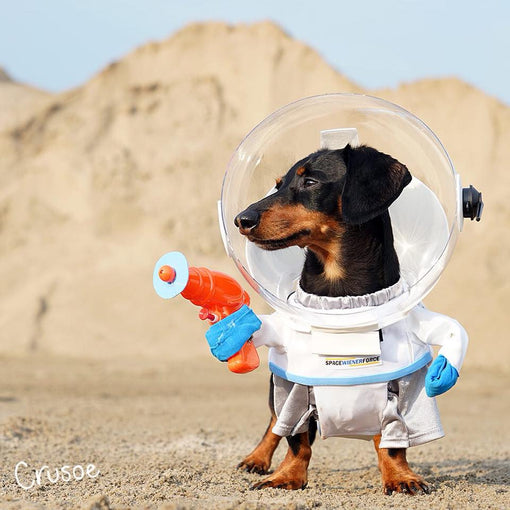 spacedog cru astronaut dog costume