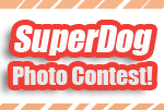 Let the SuperDog Photo Contest Begin!