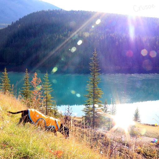 Two Jack Lake Banff