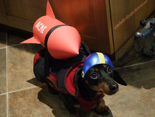 Dachshund Wiener Dog Rocket Costume