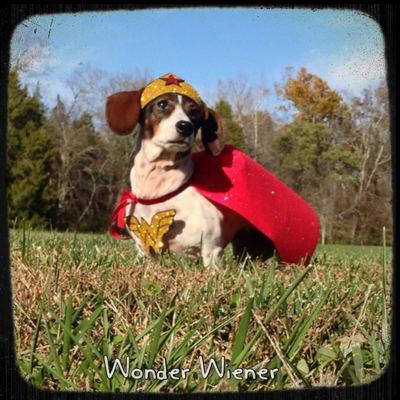 Wonder Wiener Dog Costume