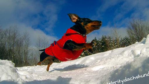 Crusoe GoPro Action Shot