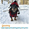 Crusoe Dachshund Calendar 2026 open page