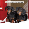 Crusoe 2027 wall calendar