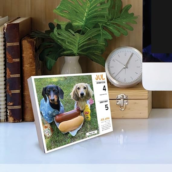 Crusoe Dachshund Calendar 2026 open page
