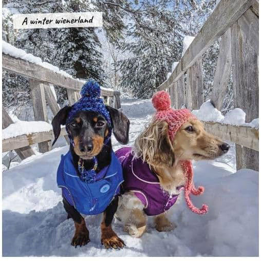 Crusoe 2027 mini wall calendar
