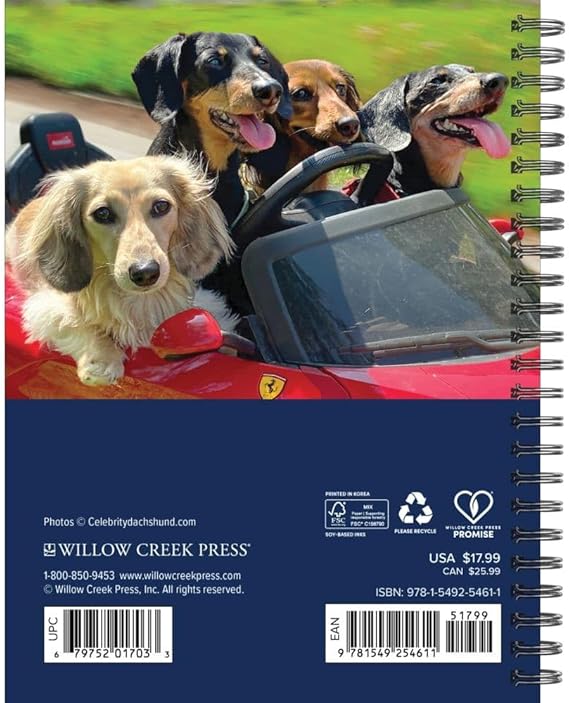 Crusoe Dachshund Calendar 2026 back cover planner
