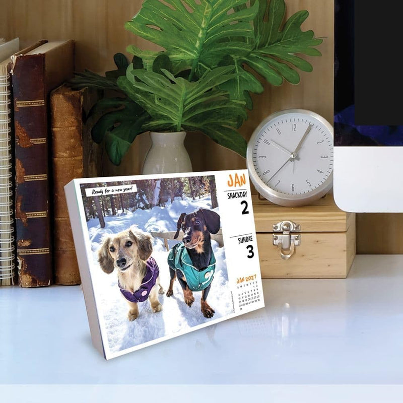 Crusoe 2027 box calendar