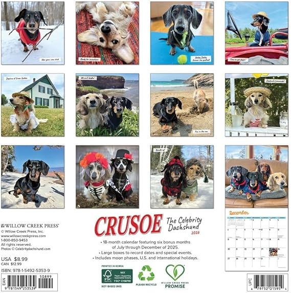 Crusoe Dachshund Calendar 2026 mini back