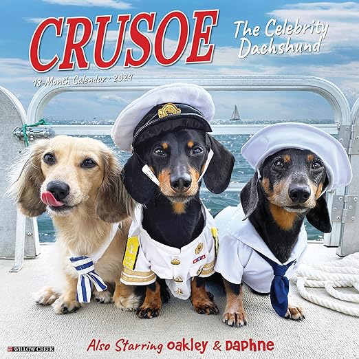 wow 🐶🏒🏒 (crd. Crusoe the Celebrity Dachshund)