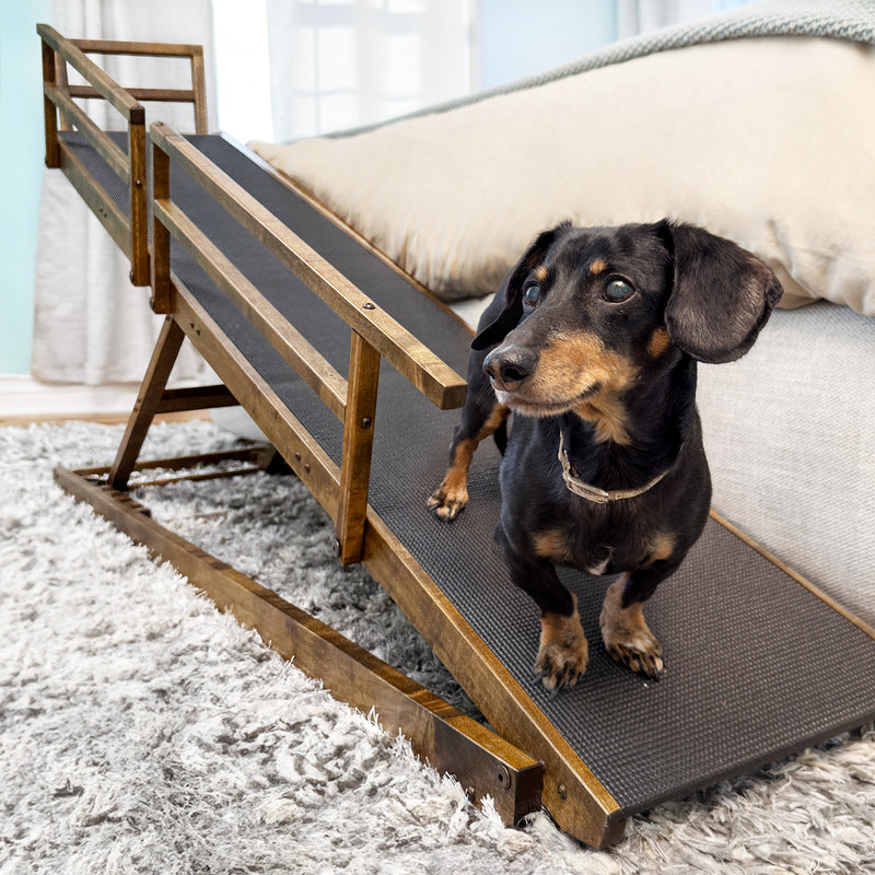 Crusoe dachshund dog ramp