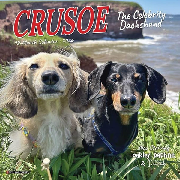 Crusoe Dachshund Calendar 2026 mini