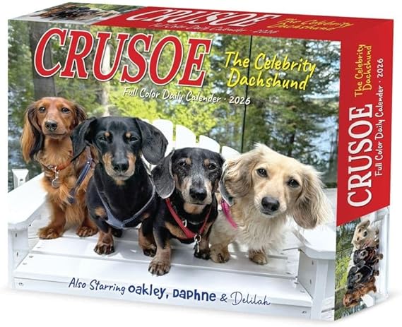 Crusoe Dachshund Calendar 2026 box daily