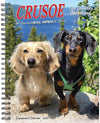 Crusoe Dachshund Calendar 2026 - Planner