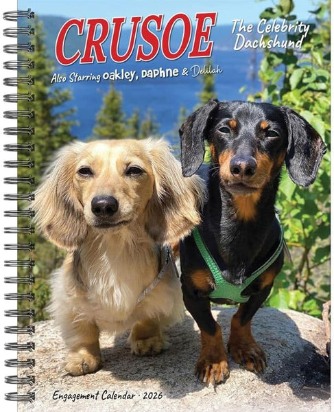 Crusoe Dachshund Calendar 2026 - Planner