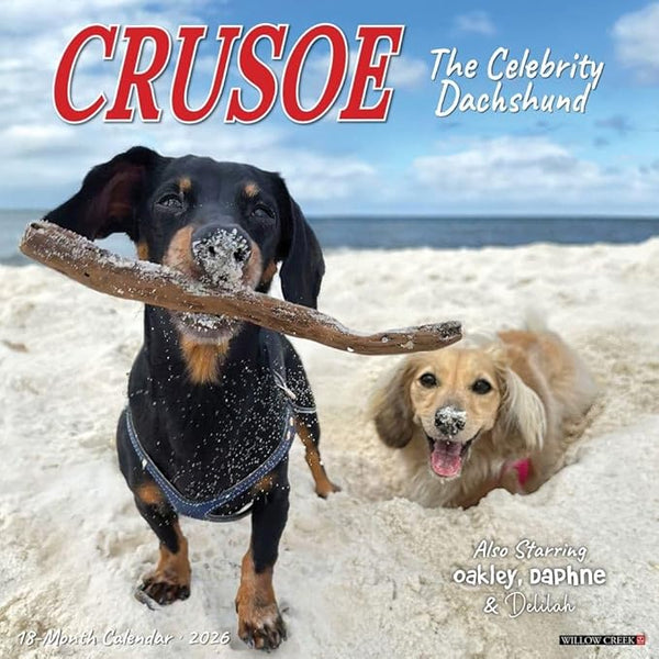 Crusoe Dachshund Calendar 2026 wall