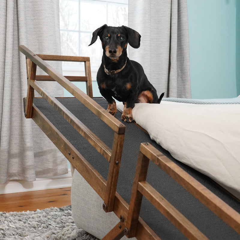 dog ramp for beds by crusoe
