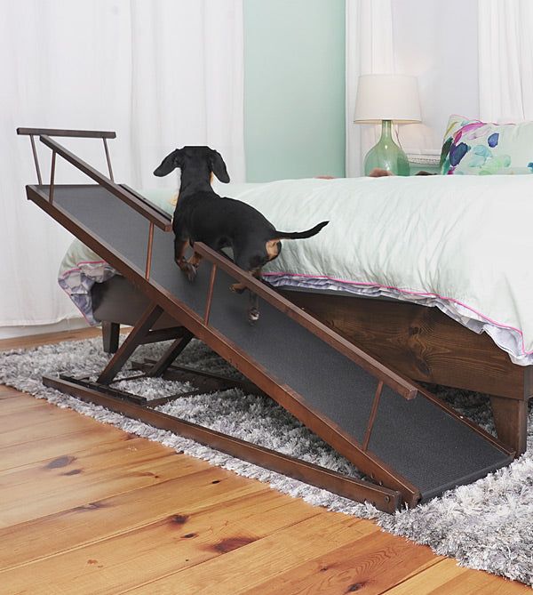 mini dog ramp