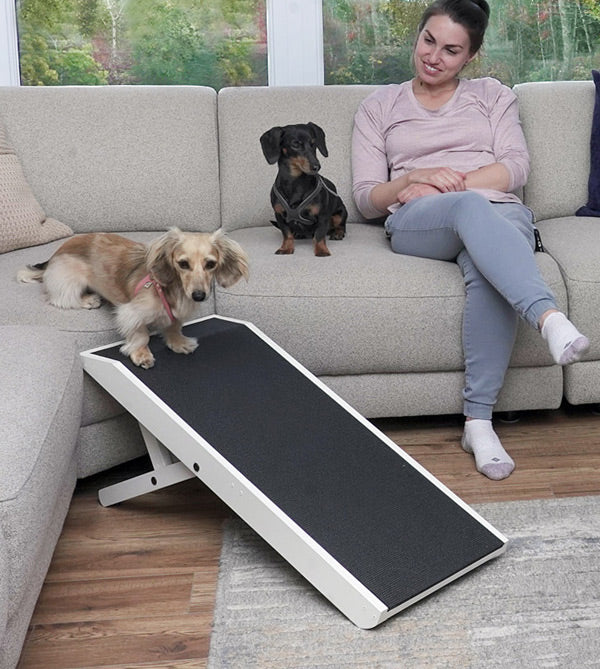 dog ramps for couch