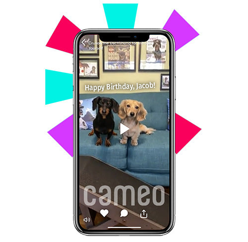 Hire us on Cameo
